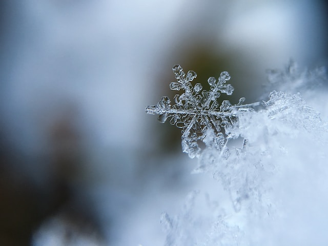 雪の結晶